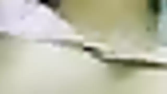 Özbek güzeli bir esmerle çekilmiş video.